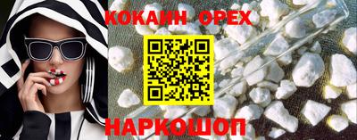 дмт Сланцы