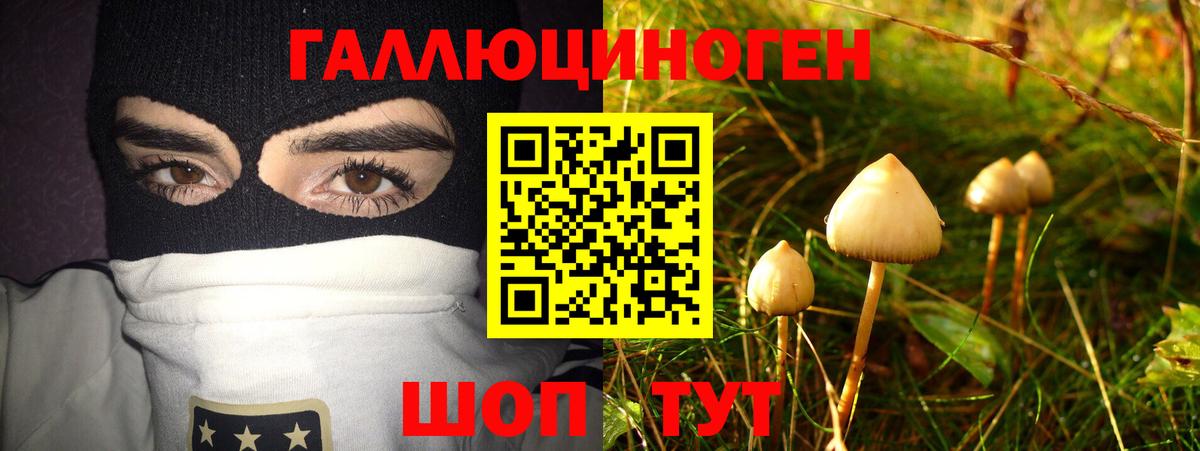 Саянск  закладка  Вход с VPN  Галлюциногенные грибы мухоморы 